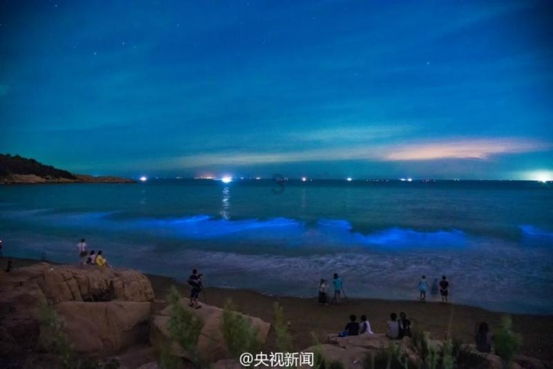 燃烧吧大脑免广告最新版