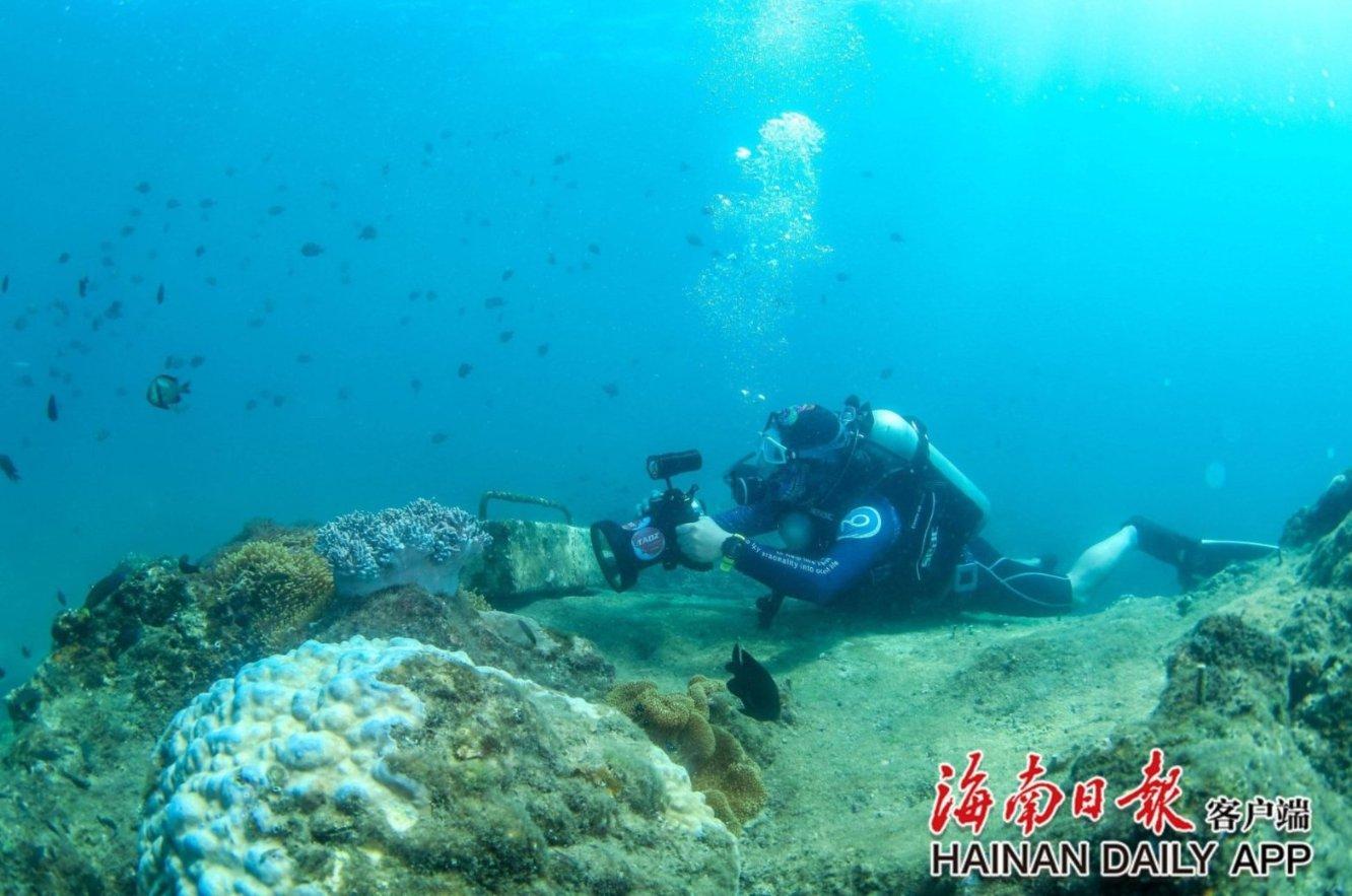 美人有计