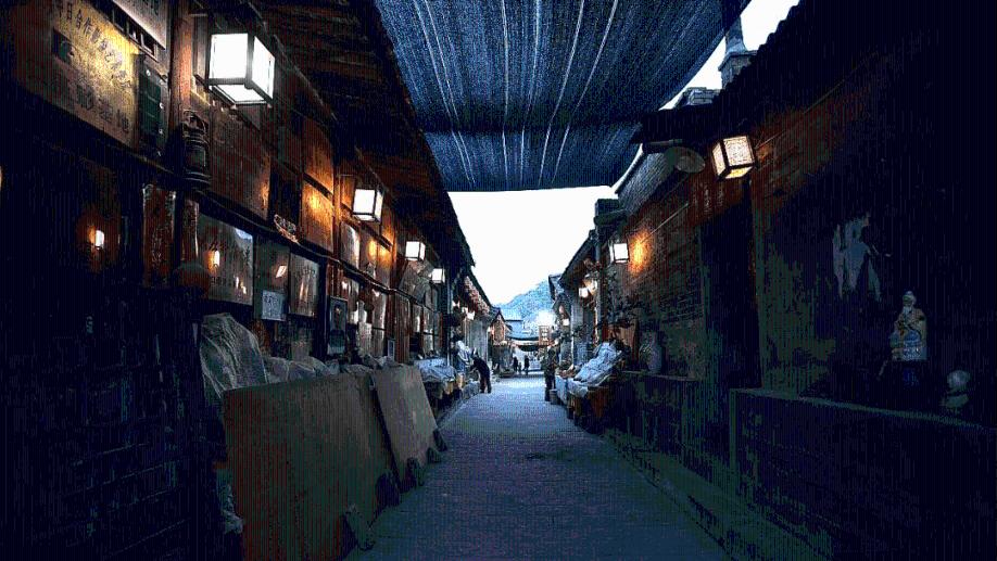 狐狸的旅程